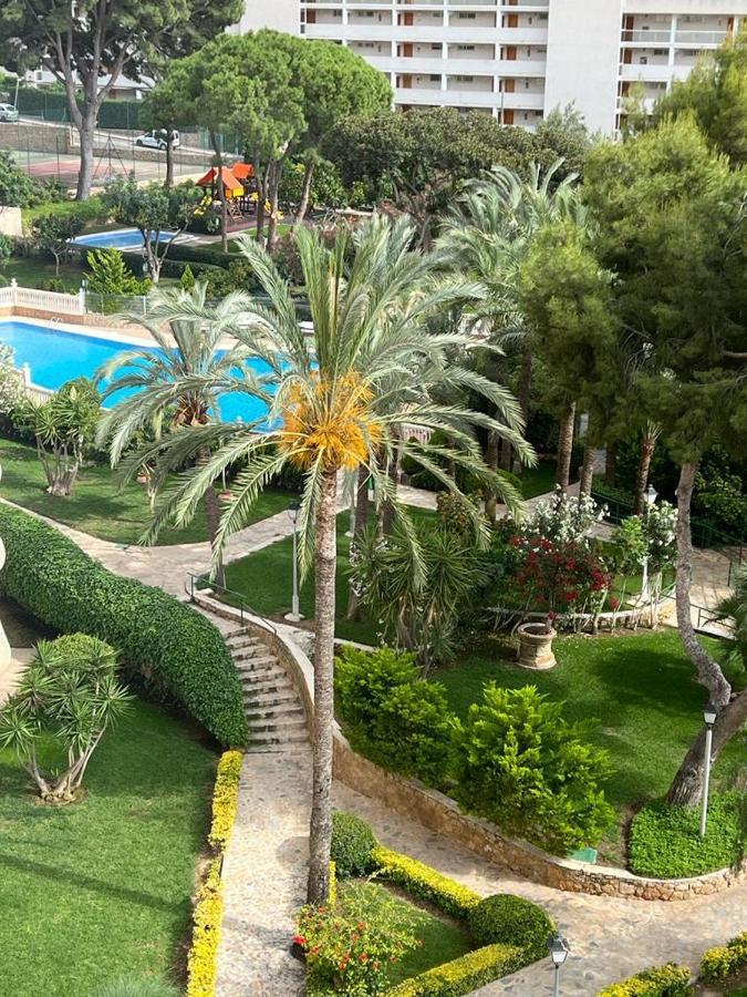 Playmon Park Levante Beach Benidorm Zewnętrze zdjęcie